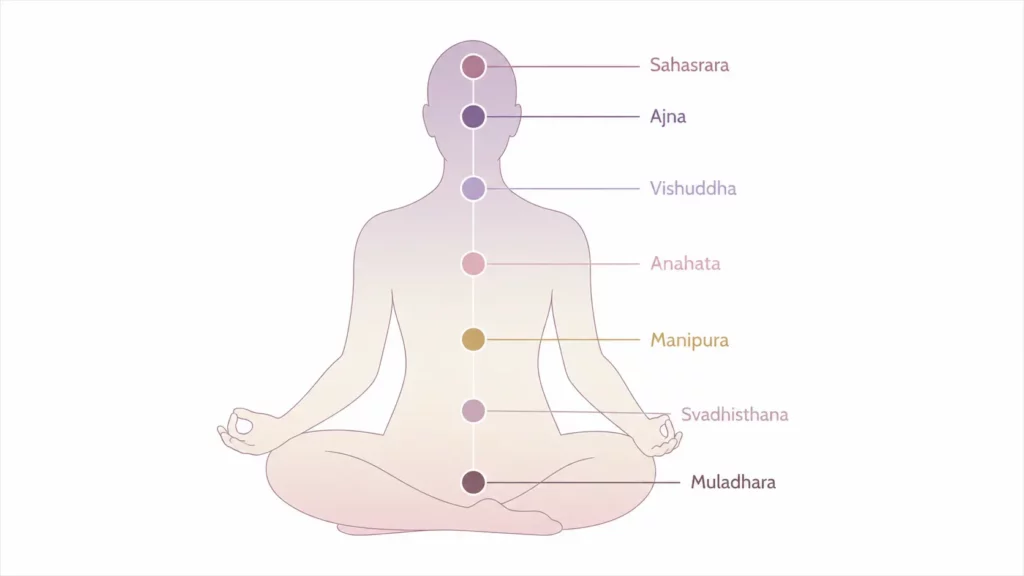 Infographie minimaliste representant une silhouette assise en tailleur avec les sept chakras alignes le long de la colonne vertebrale et identifies par leurs noms traditionnels Muladhara Svadhisthana Manipura Anahata Vishuddha Ajna et Sahasrara.
