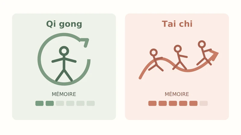 Infographie comparant le qi gong, avec ses mouvements répétés en boucle, et le tai chi, avec ses enchaînements à mémoriser.